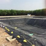 High Density Polyethylene HDPE Fish Farm Pond Plastic Liner Geomembranas Long