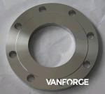 High Hardness Raised Face Forged Steel Flange 150LBS For Petrochemical