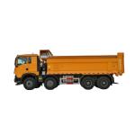 SINOTRUK HOWO TX 440HP 8X4 Tipper Truck Urban Construction Road Transportation