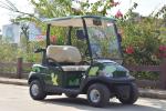 Onward 2 Passenger Electric Golf Cart Trojan Battery CE Approved