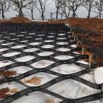 High Honeycomb Black HDPE Geocell Reinforcement Driveway For Road Gravel