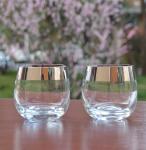 Silver Rim Ion Plated Platinum Tumbler Drinking Glasses
