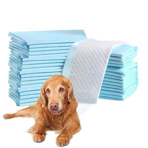Wholesale Small Animals Protection Odor Eliminating Scented Pet Training Urine Absorbent Pad from china suppliers