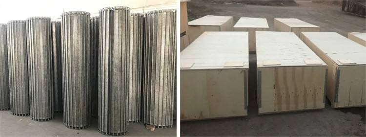 Galvanized Horseshoe Hinged Stainless Steel Conveyor Belt Wire Net