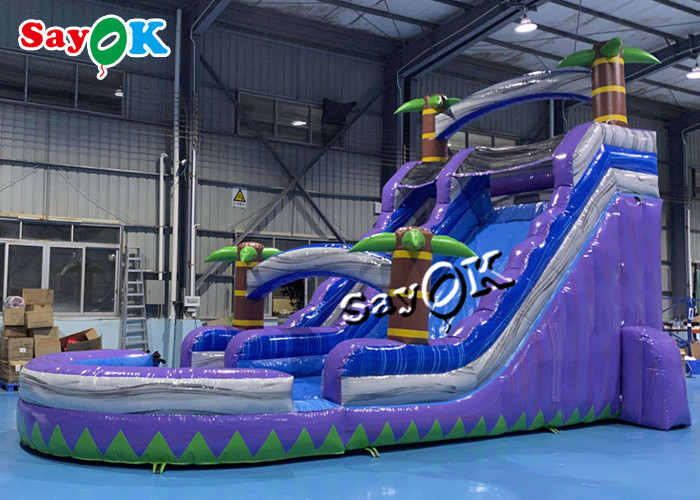 Wet Dry Inflatable Slide Clearance Two Lanes Big Tropical Palm Tree Inflatable Water Slide With Splash Pool