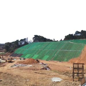 Wholesale Online Technical Support 3D Erosion Control Geonet for Road Mountain Slope Protection from china suppliers