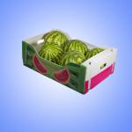 Food Packaging Corrugated Plastic Shipping Boxes For Fruit Cold Storage