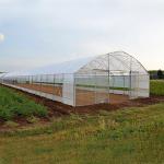 Tomato Poly Greenhouse Agricultural Tunnel Plastic Greenhouse For Drip