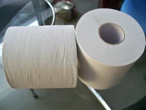 Wholesale Embossed Recycle White Toilet Tissue Paper Roll , 2ply 16gsm 10 rolls per bag from china suppliers