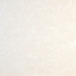600x600mm Tulip series double loading,polished granite floor tiles,light color