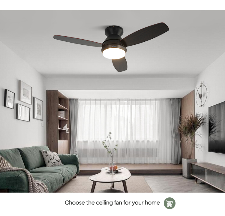 ceiling fan