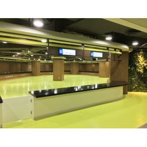 Commercial Ultra Wide Stretched LCD Display 34.9'' Shelf Mount Wall Mount