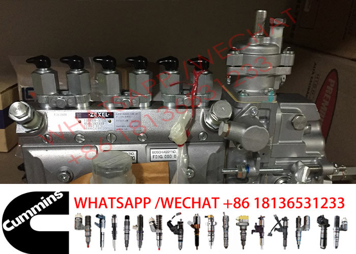 Original 1016096-3750 Cummins Fuel Injection Pump