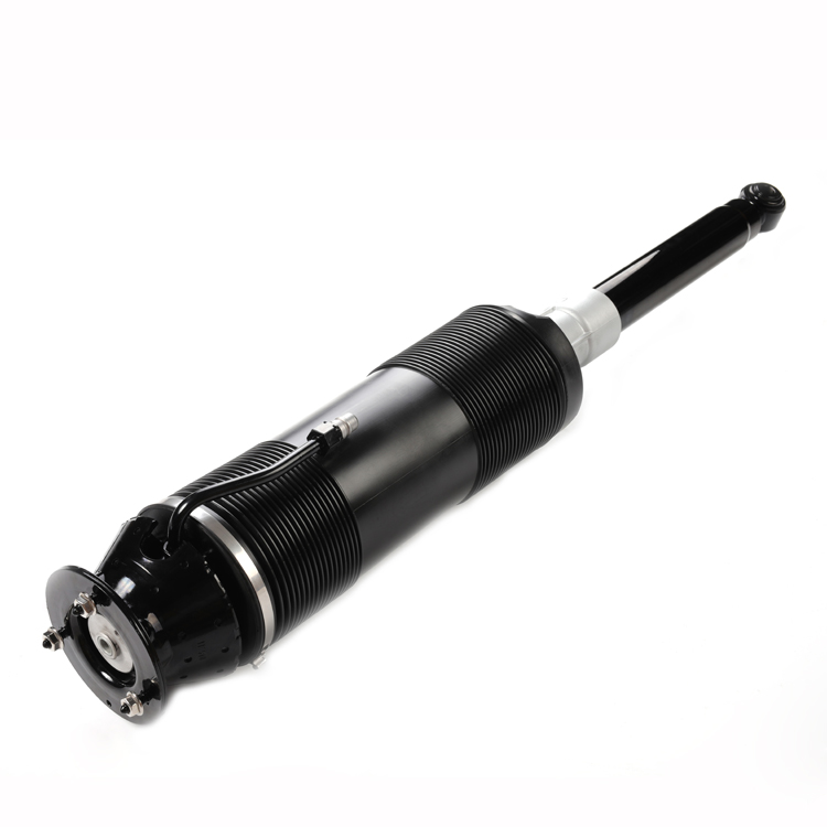 Air Strut Suspension With ABC For Mecedes S Class 2203201813