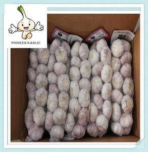 Wholesale China Wholesale Garlic Supplier China New Crop Garlic pure white garlic from china suppliers