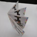 Rectangle / Square Printing Press Brochure Paperboard For User Guide