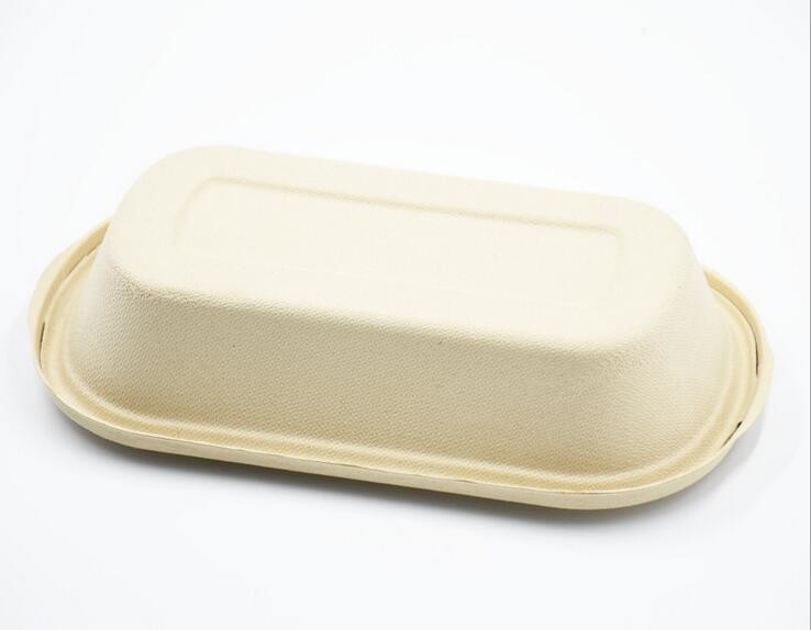1000ml Biodegradable Straw pulp food container 2 compartments paper food tray with PP lid