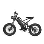 Off-Road Electric Fat Tire Bike Rear Hub Motor 20" Wheel Size for Exciting