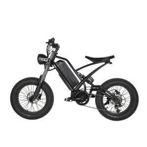 Wholesale Off-Road Electric Fat Tire Bike Rear Hub Motor 20&quot; Wheel Size for Exciting Adventures from china suppliers