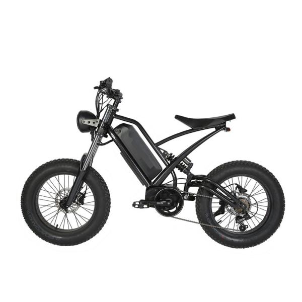 Off-Road Electric Fat Tire Bike Rear Hub Motor 20" Wheel Size for Exciting