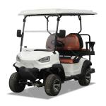 OEM Electric Golf Cart 50km Range Electric LSV Aetric Golf Cart With Lead Acid