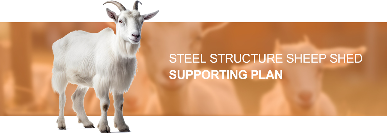 Steel Farming Suppliers Steel Structure Chicken Broiler House Design Layout for Horse Barn