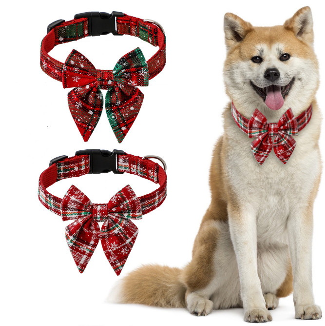 kitten christmas collar