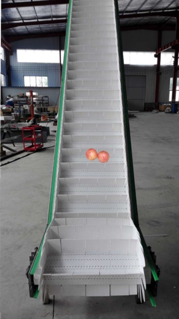 Hot Selling Plastic Mesh Belt Lifting Conveyor Food Transportation