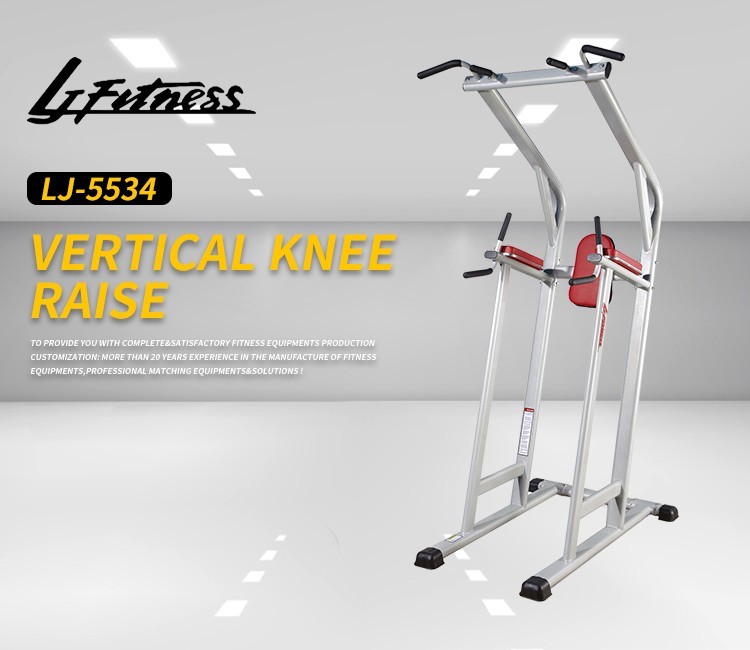 Life Fitness Commercial Gym Equipment Strength Assisted Chin Dip Leg Raise Machine