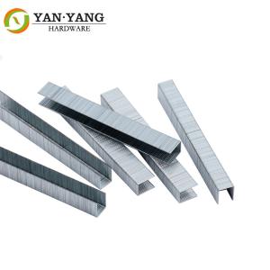 Wholesale 21 Gauge 80 Series Staples Galvanized Wire Staple For Furniture 8014 from china suppliers