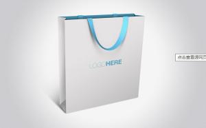 Wholesale Custom Luxury Gift Garment Paper Shopping Bags With Logo Print from china suppliers