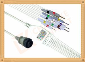 Wholesale Kenz PC 104 Ecg Monitor Cable One Piece Ecg Cable 10 Leadwires Needle IEC from china suppliers