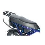 Powerful 500w 750w 1000w E Bike Max Speed 50km/h 48V Voltage for Snow Beach and