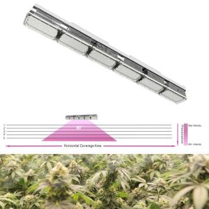 Wholesale Aluminum Body Greenhouse LED Grow Lights 480 Watt With ETL Certification from china suppliers