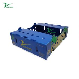 Wholesale Danpla Corriboard Corrugated Plastic Moving Boxes For Feed Seafood from china suppliers