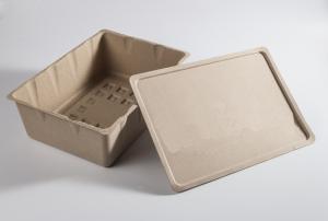 Wholesale 1.5mm Fiber Molded Packaging Sustainable Green Biodegradable Pulp Packaging from china suppliers
