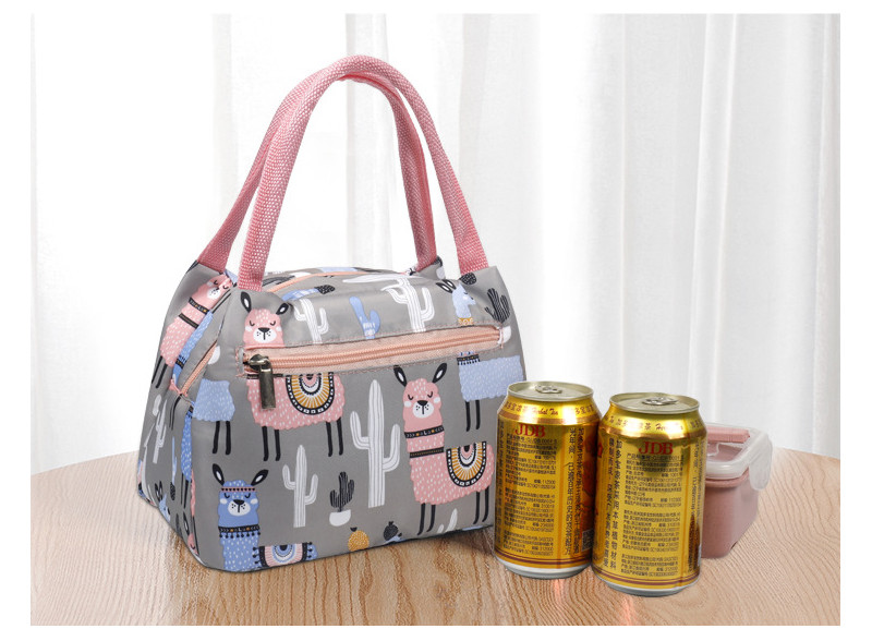 L24*D12cm Oxford Embroidered Lunch Bag For Kids