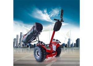 Wholesale 4000W Motor Two Wheeled Electric Vehicle Segway People Mover With Big Gearbox from china suppliers