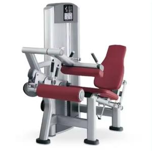 Wholesale Commercial Indoor Gym Equipment: Adjustable Seated Steel Pin Load Machine for Fitness Body Building Training - Leg Curl Machine from china suppliers