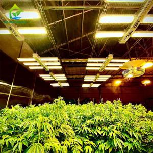 Wholesale Auto Light Deprivation Greenhouse 30ft*100ft Backyard Greenhouse For Vegetables from china suppliers