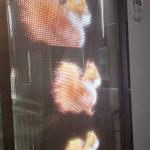 Super Slim Transparent LED Film For Retail Store Advertising P10 DC5V RGB Easy