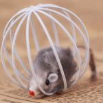 Interactive Big Cat Balls Mouse Toys In The Cage Puzzle Colorful