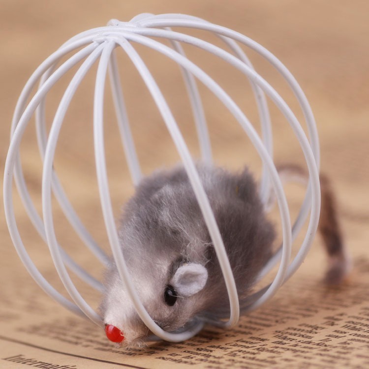 durable cat toys 
