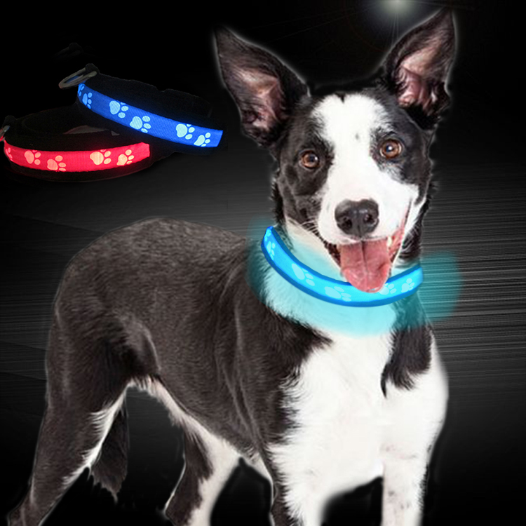 C903 Factory Supply Wholesale Waterproof Custom Nylon Webbing Logo Printed Flashing Led Dog Collar for Pet Safety