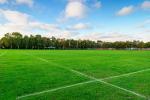 Anti Ultraviolet Artificial Grass Sports Flooring 30mm Garden Landscape Lawn