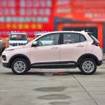 Electric SUV Dayun Yuehu Left and Right Rudder Electric Vehicle for Energy