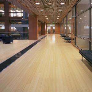 Wholesale Hospital Eco Forest Holland Hs Morningstar Cafe Noir Kitchen Shelf Multilayer Bamboo Flooring from china suppliers