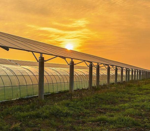 Thermal Insulation Commercial Photovoltaic Greenhouses
