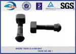 Zhongyue SGS Inspected Railway Rail Fishtail Bolt For Joint Bar