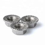 M8 Stainless Steel SS304 Hex Flange Nut DIN6923 Marine Grade Stainless Steel